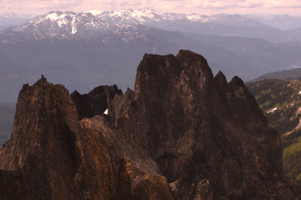 The Black Tusk
