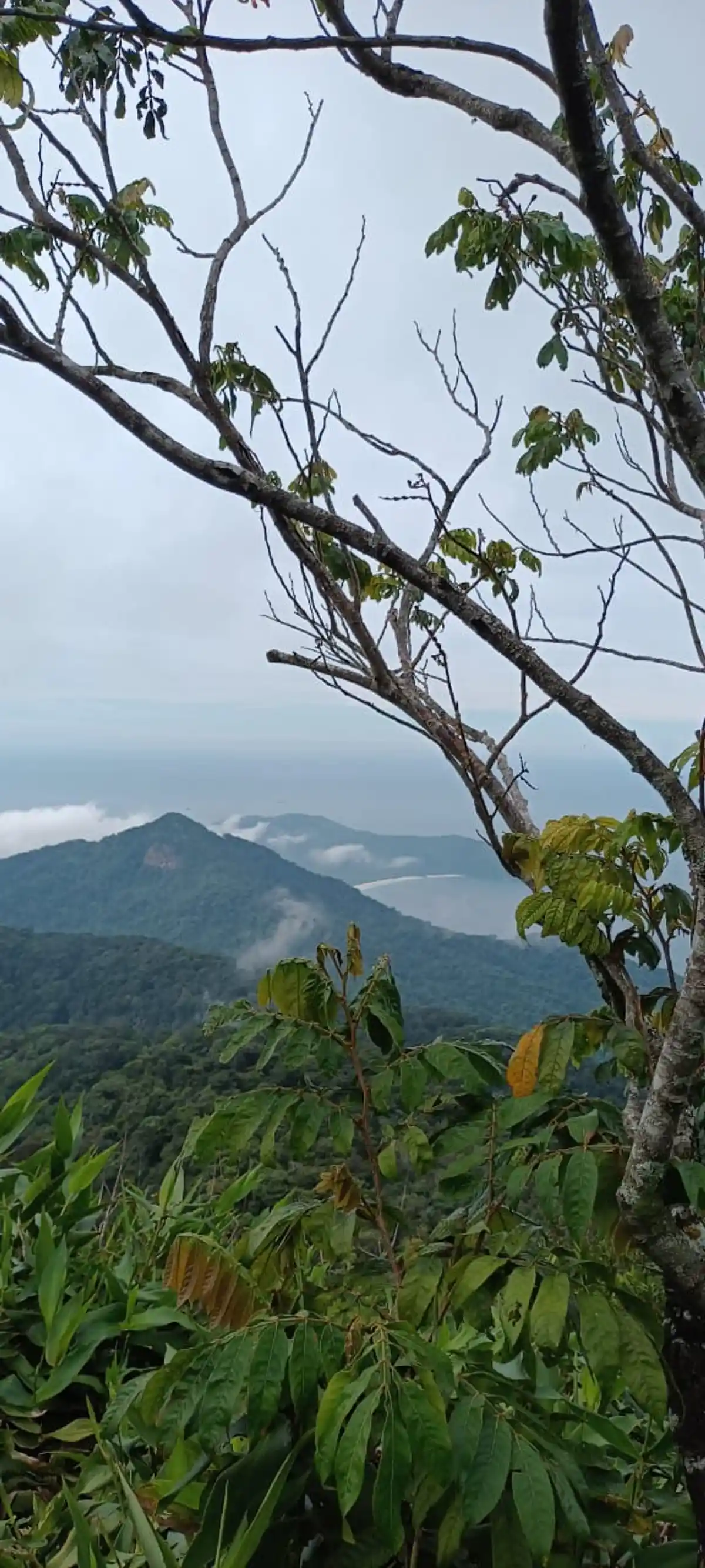 Trilha Pico do Papagaio