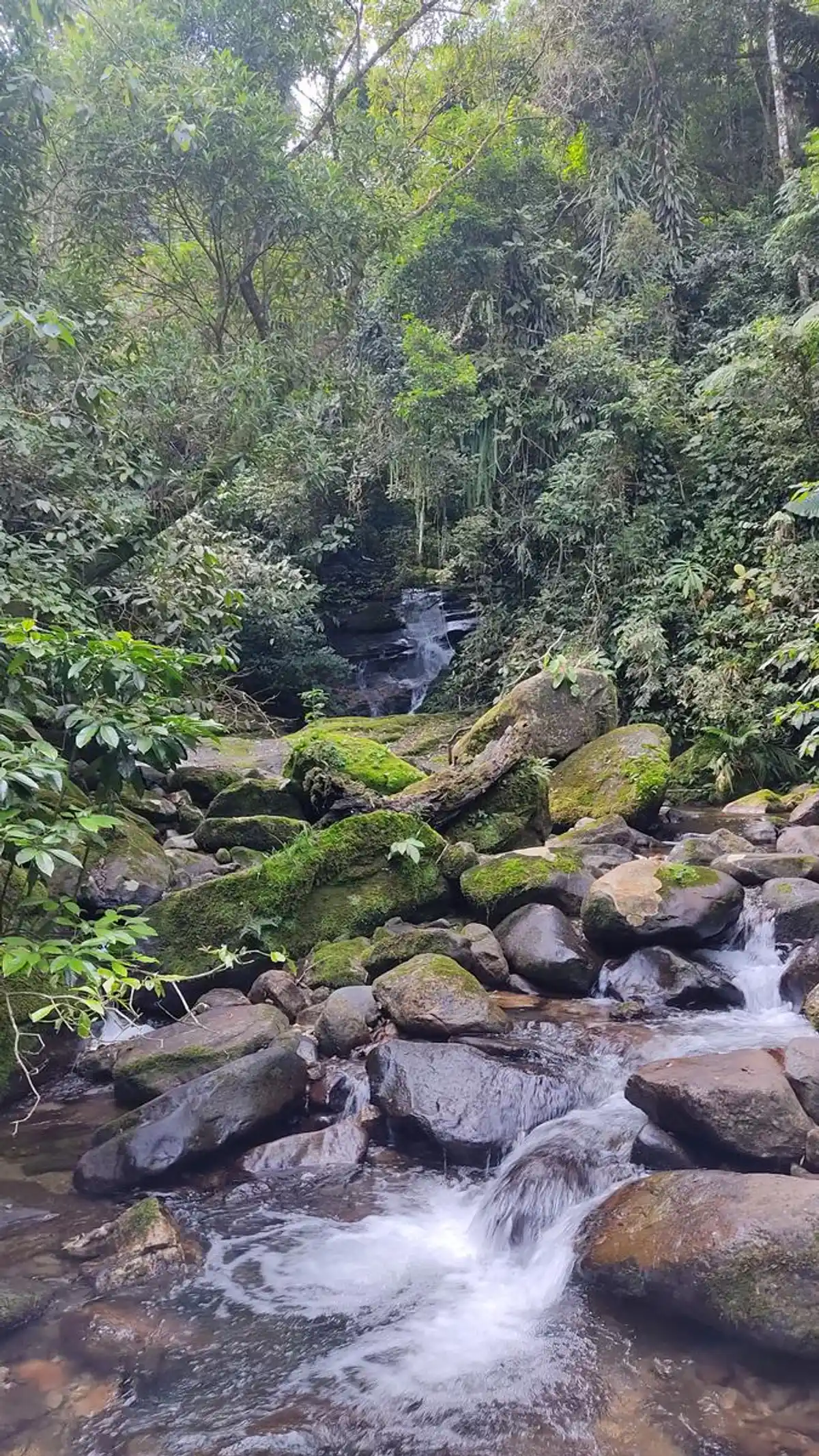 Trilha Castália x Guapiaçu (São Miguel)
