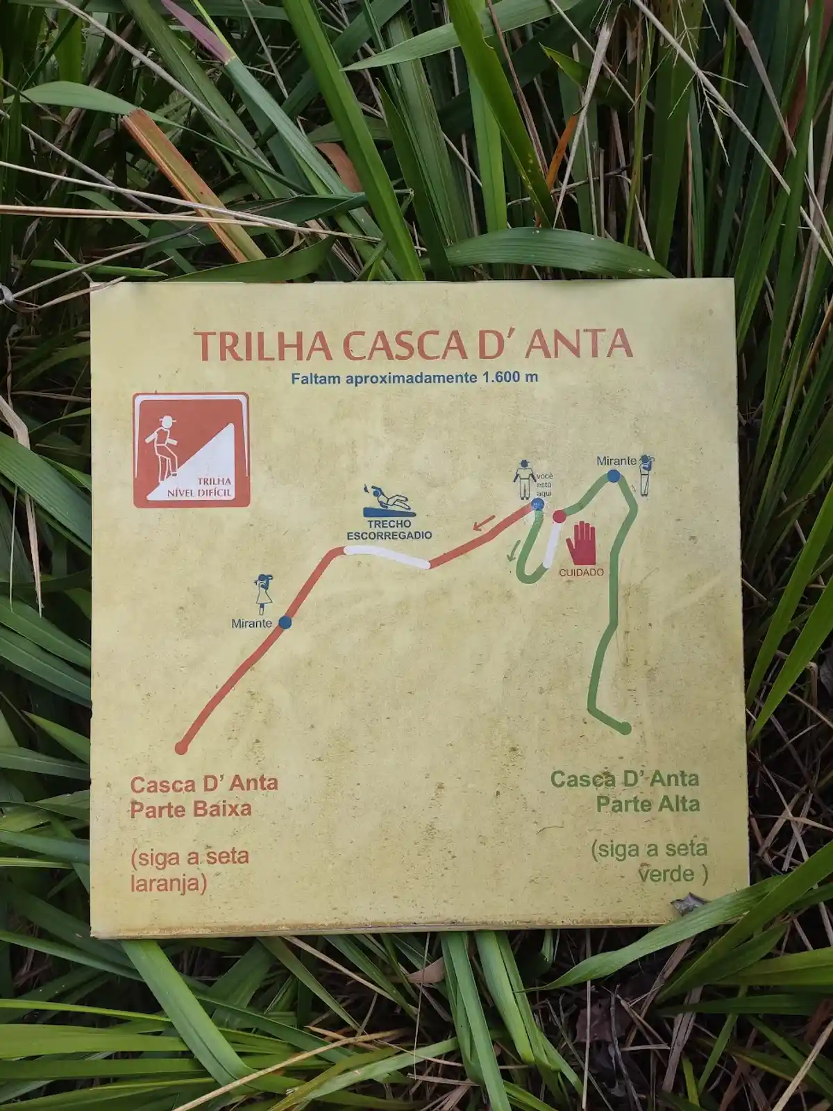 Trilha Cachoeira Casca D'Anta
