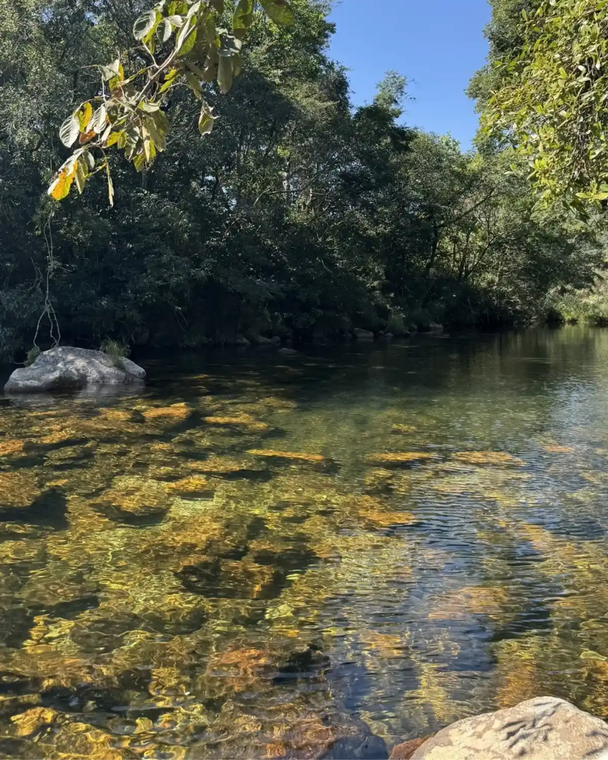 Trilha Cachoeira do Fundão