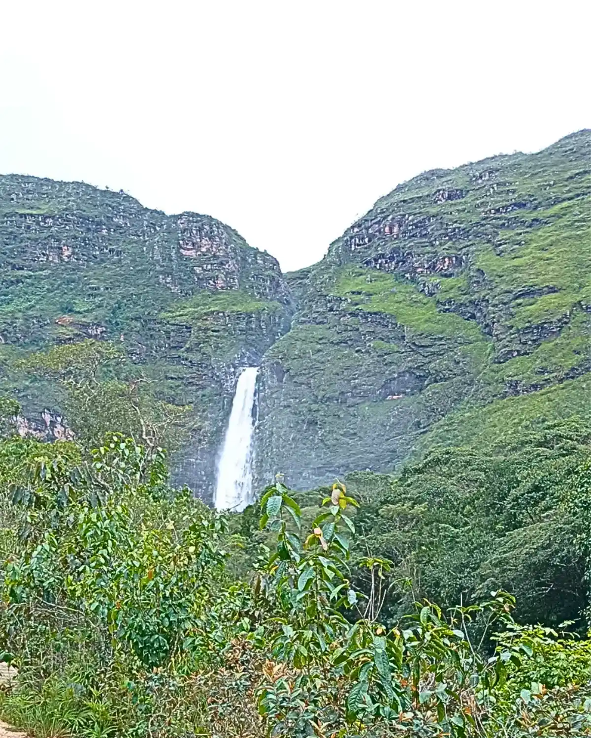 Trilha Cachoeira Casca D'Anta