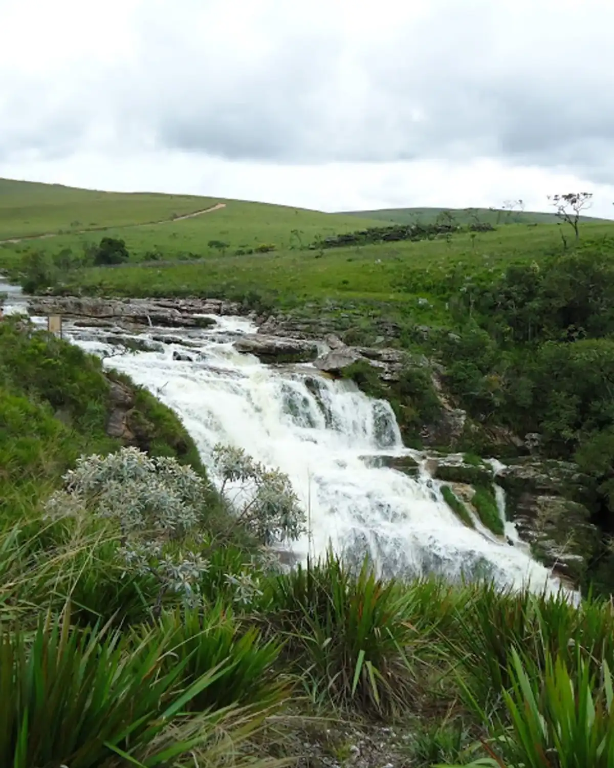 Trilha Cachoeira Casca D'Anta