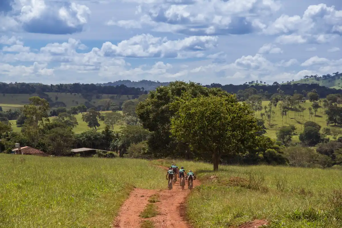 Caminho de Cora Coralina