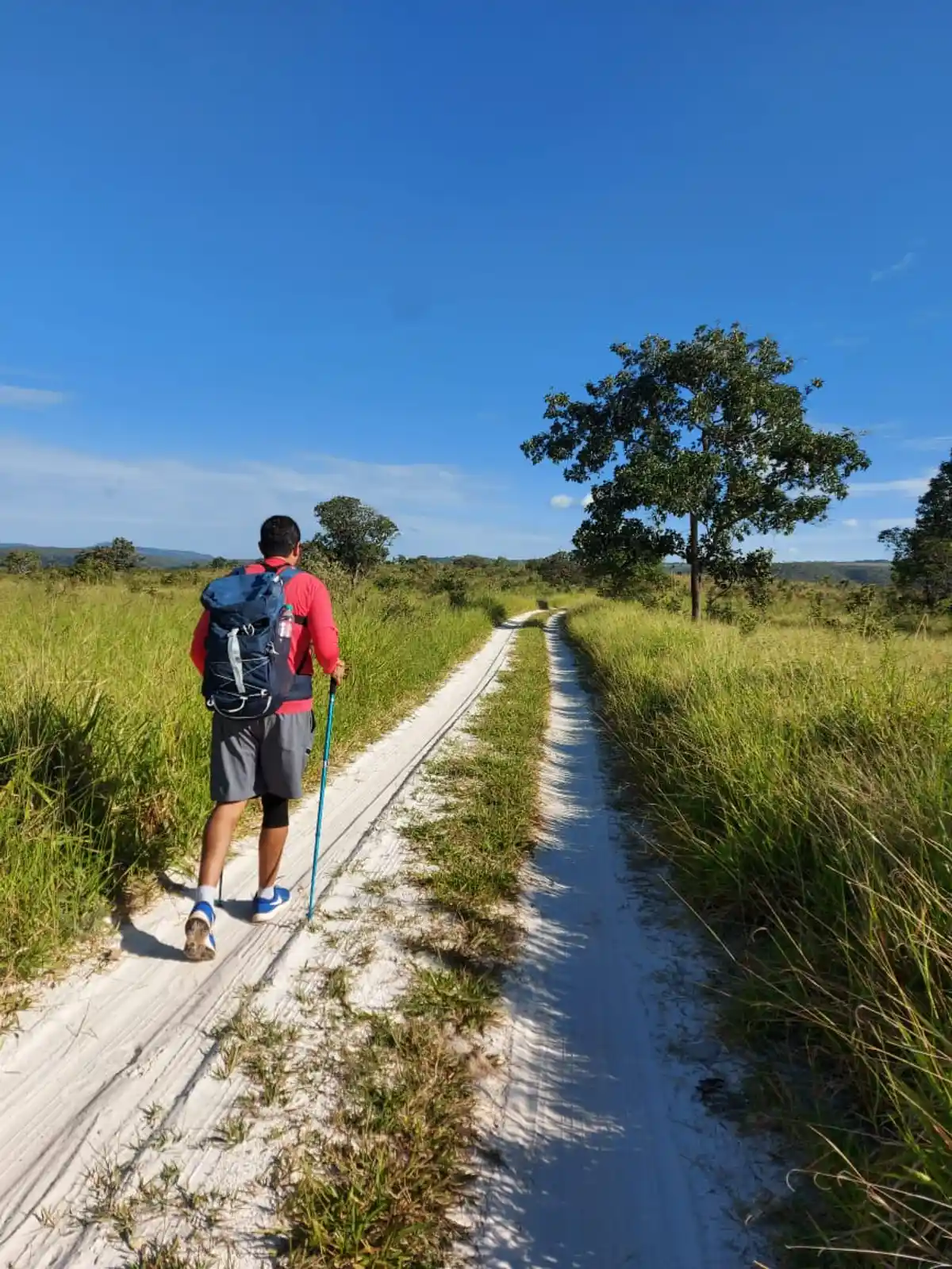 Caminho de Cora Coralina