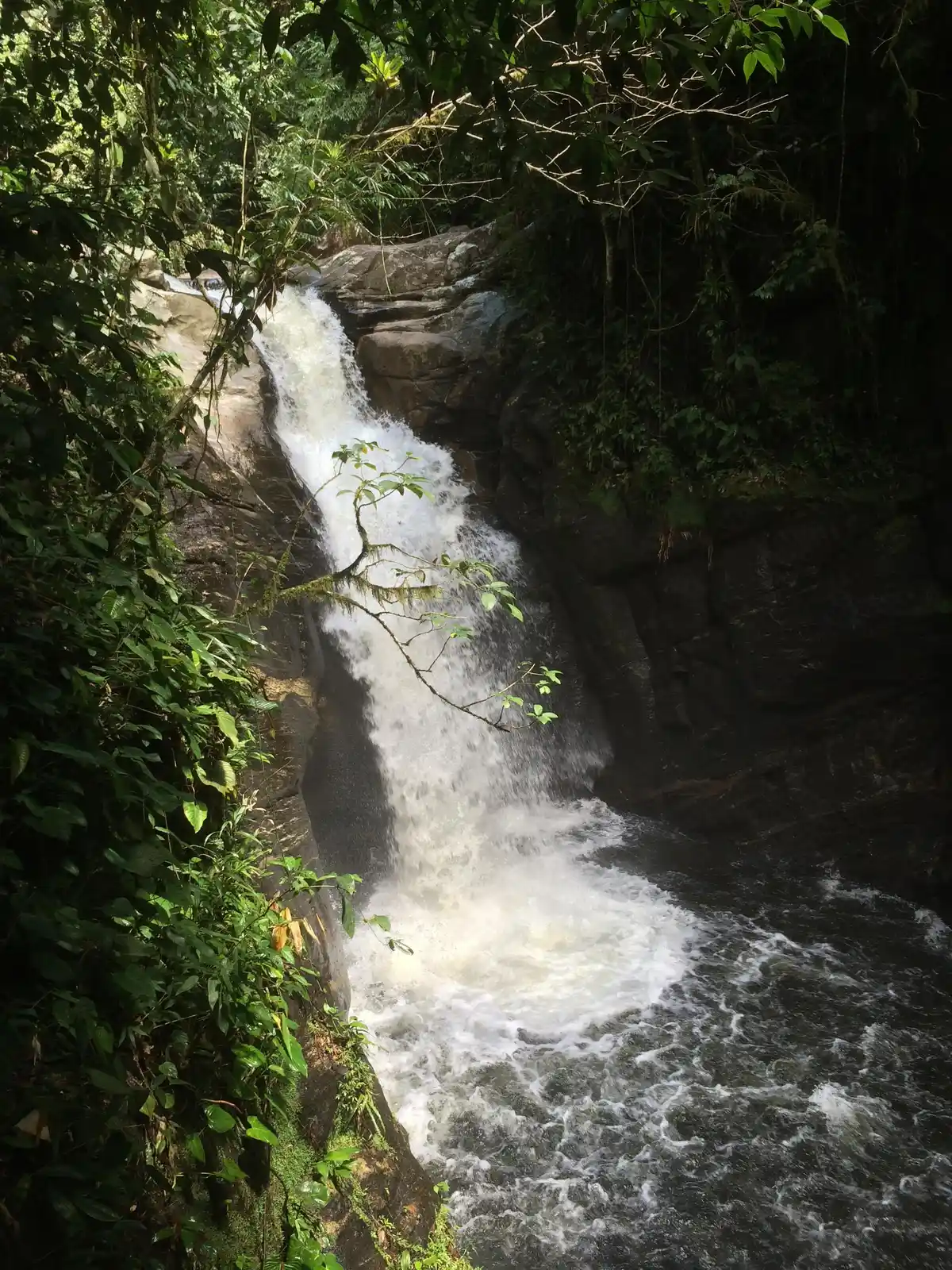 Trilha da Cachoeira do Tenebroso