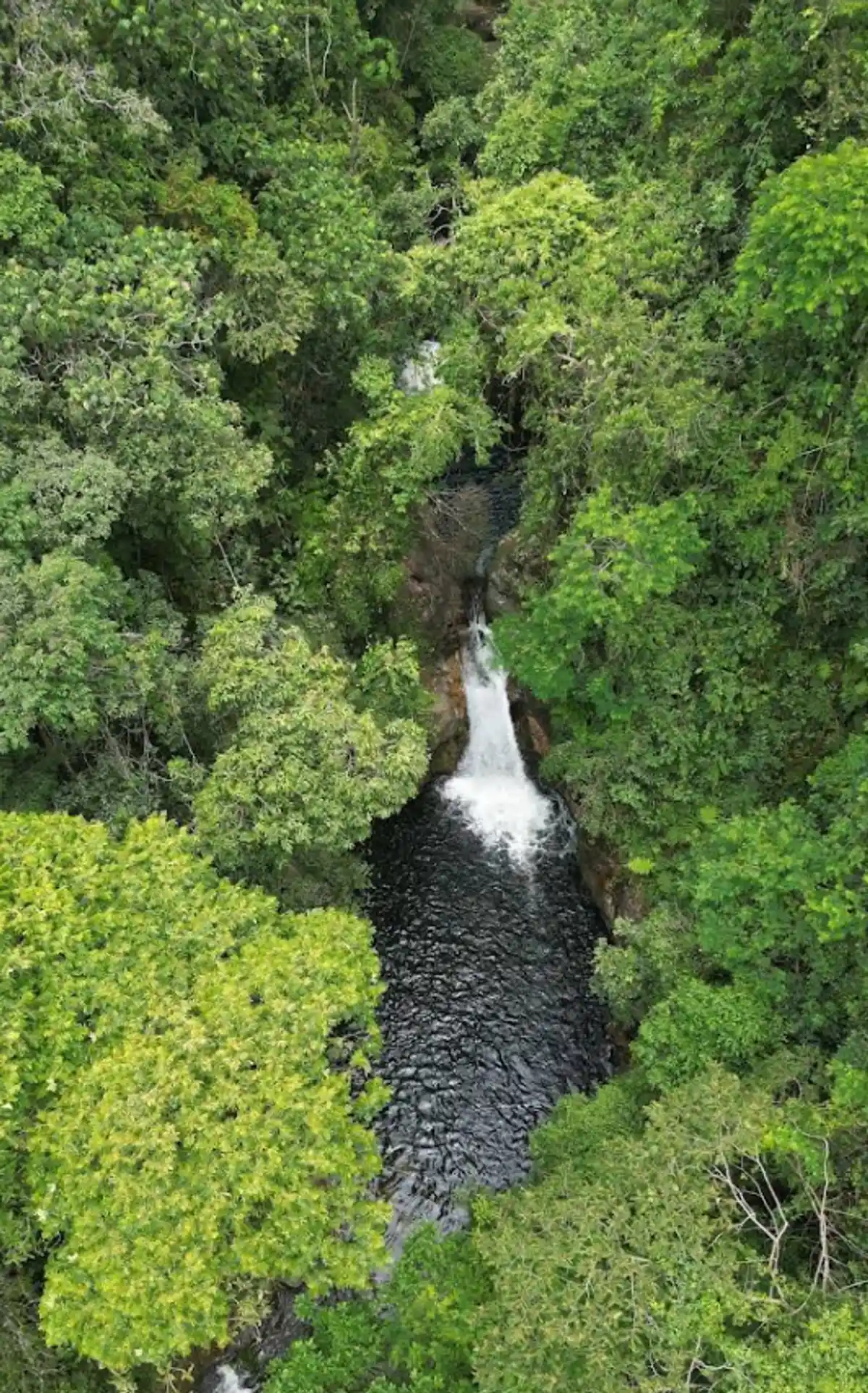 Trilha da Cachoeira do Jequitibá - Santa Fé
