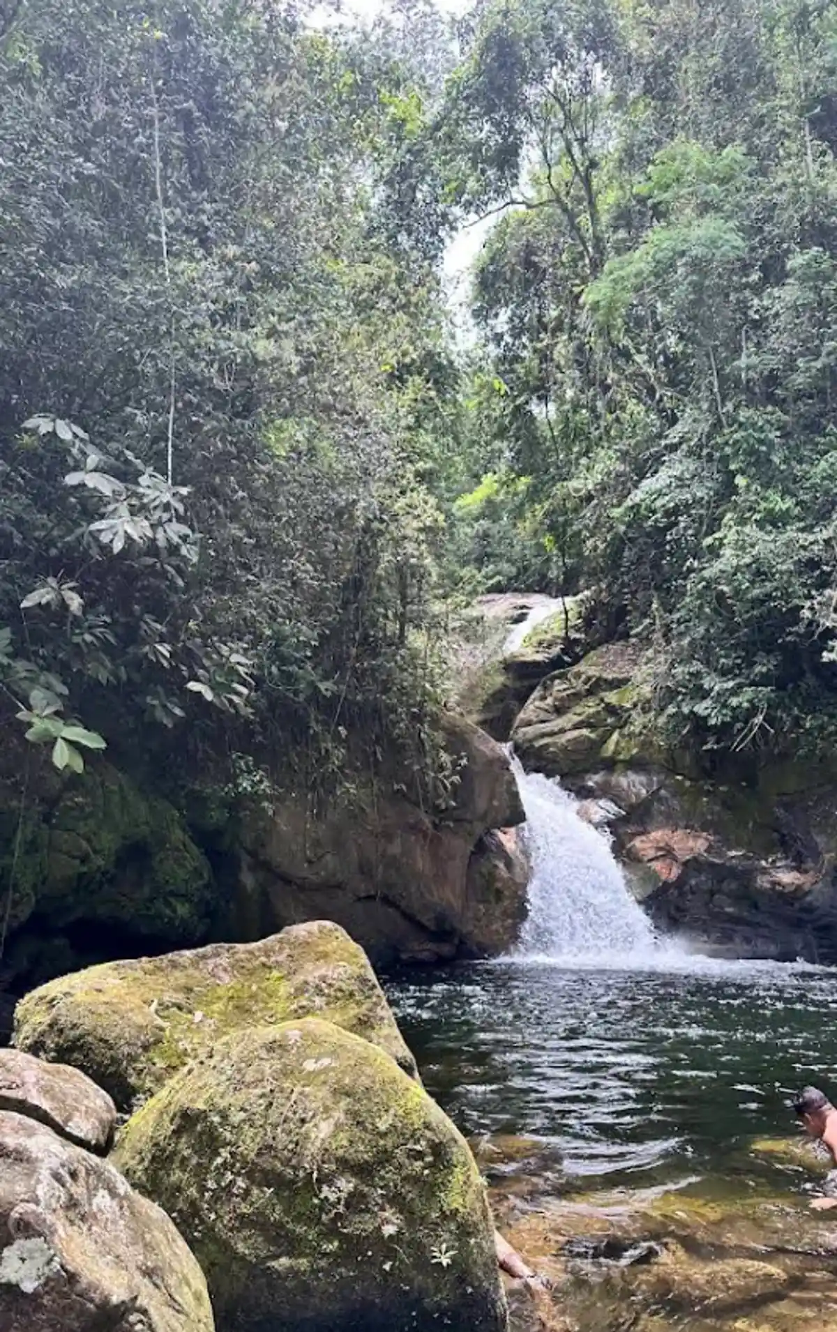 Trilha da Cachoeira do Jequitibá - Santa Fé