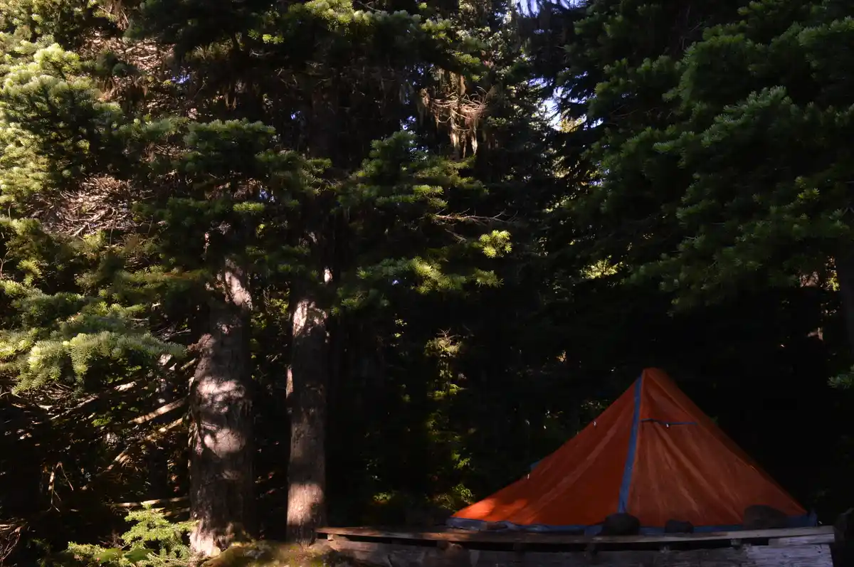 Garibaldi Lake Trail