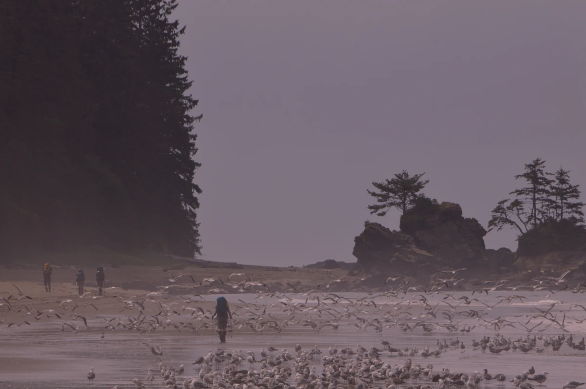 West Coast Trail