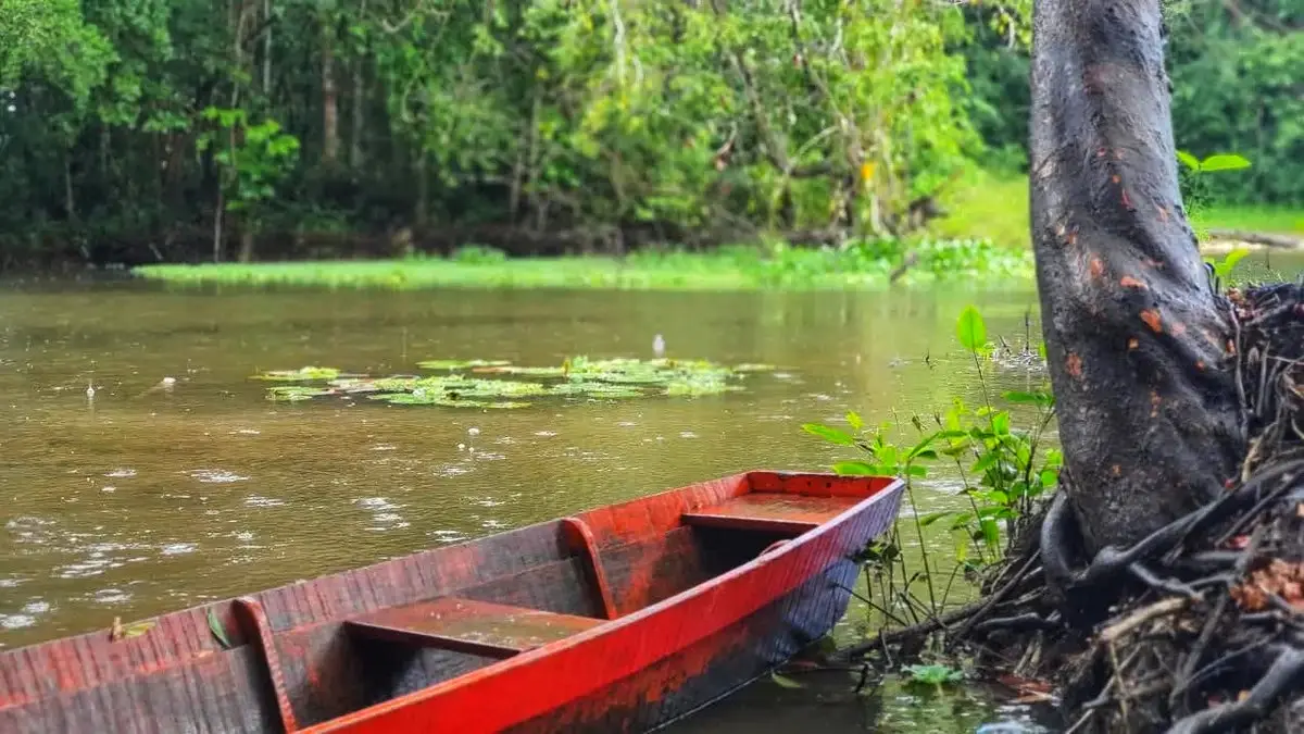 Belém x Caraparu (Trecho 1 | Trilha Amazônia Atlântica)