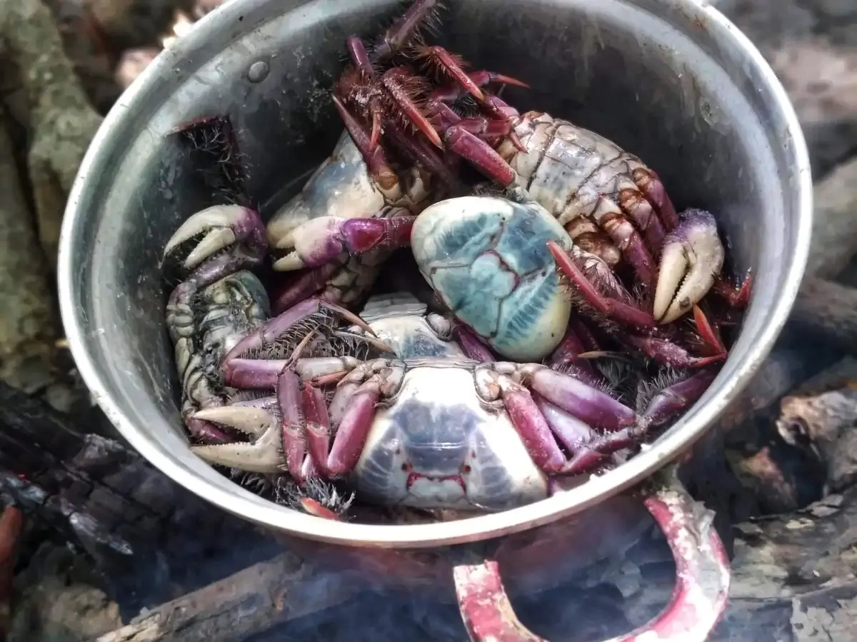Camutás x Urumajó (Trecho 6 | Trilha Amazônia Atlântica)