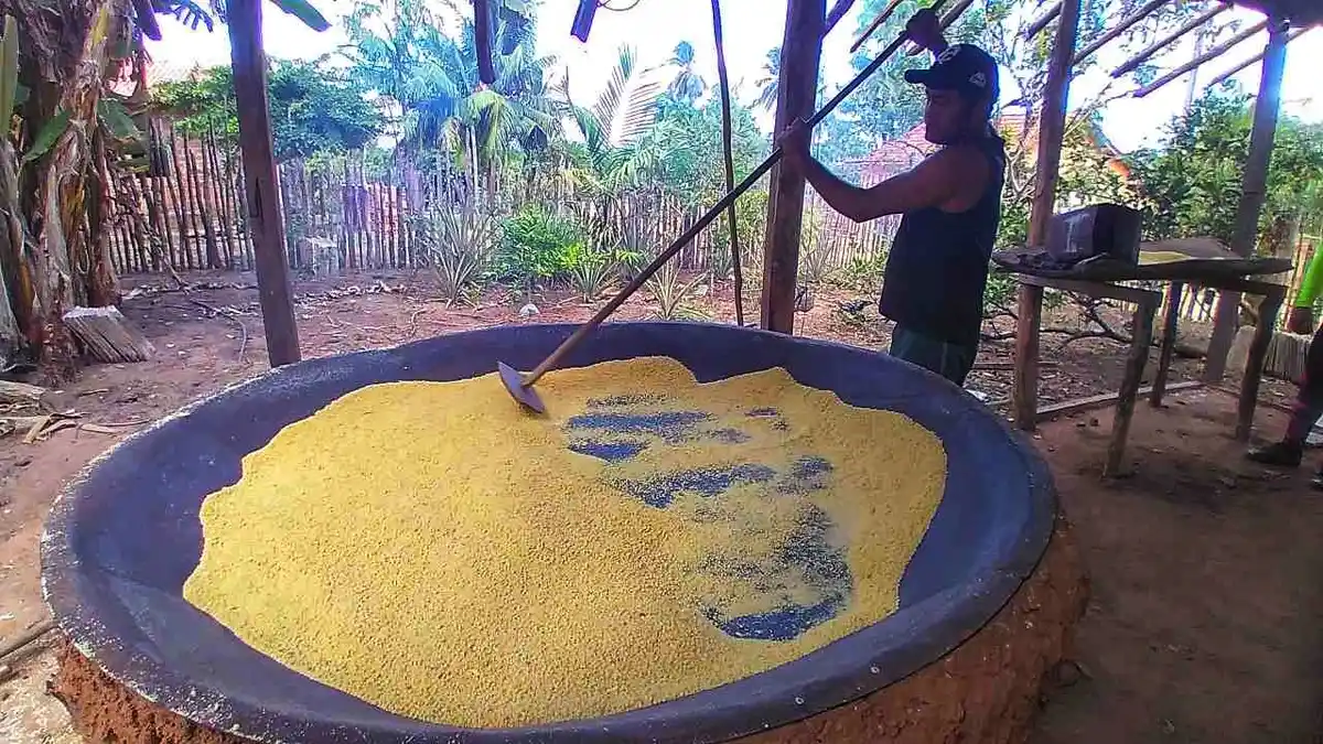 Camutás x Urumajó (Trecho 6 | Trilha Amazônia Atlântica)