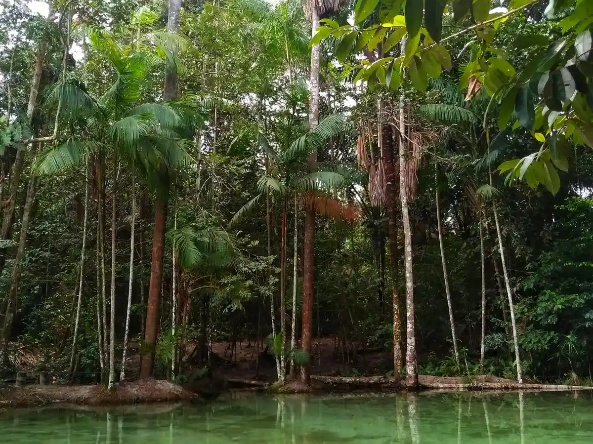 Camutás x Urumajó (Trecho 6 | Trilha Amazônia Atlântica)