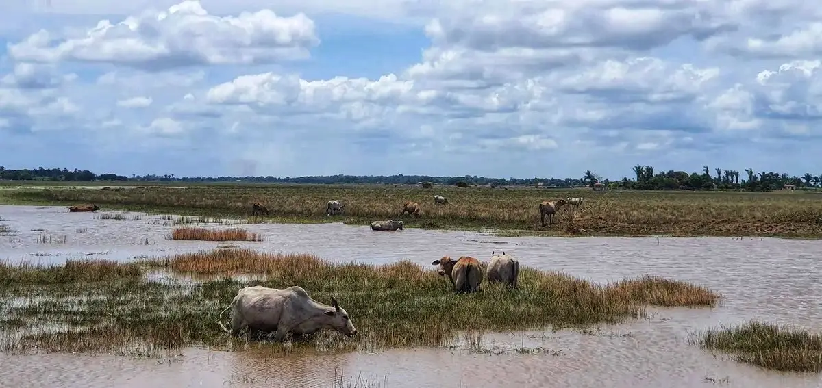 Travessia dos Campos (Trecho 5 | Trilha Amazônia Atlântica)