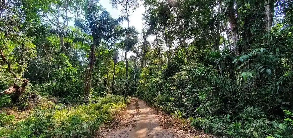 Travessia dos Campos (Trecho 5 | Trilha Amazônia Atlântica)