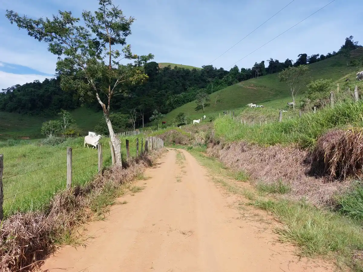 Trecho 04 - Fazenda da Grama x Rio Claro (Cicloturismo | Volta das Águas de Rio Claro)