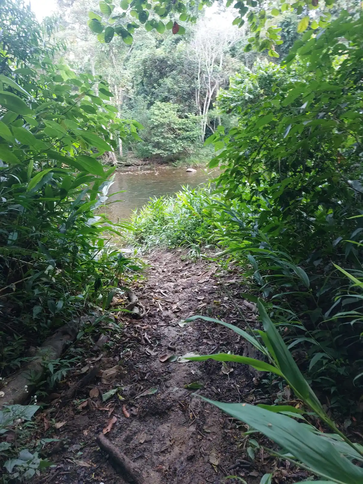 Trecho 01 - Rio Claro x Lídice (Cicloturismo | Volta das Águas de Rio Claro)