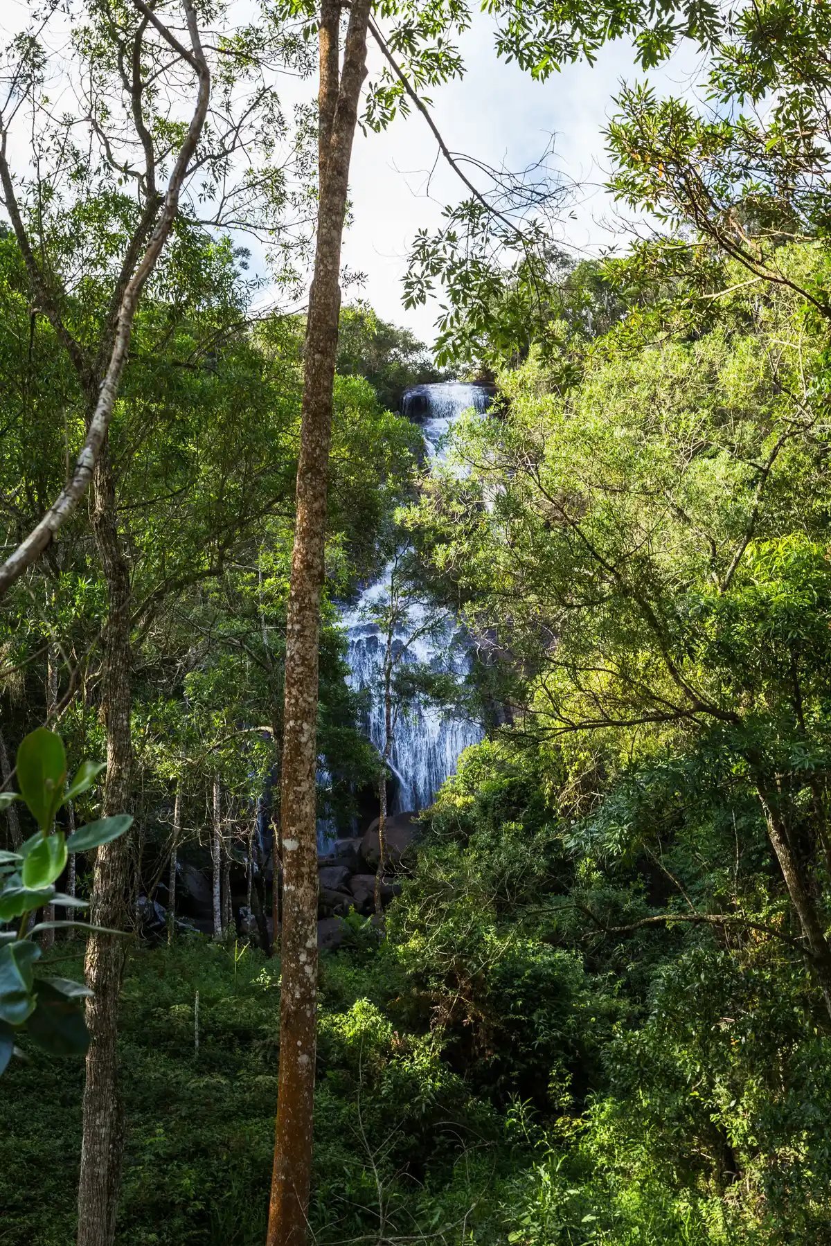Trilha da Cachoeira da Prata