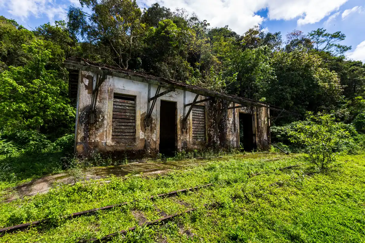 Trilha do Cameru