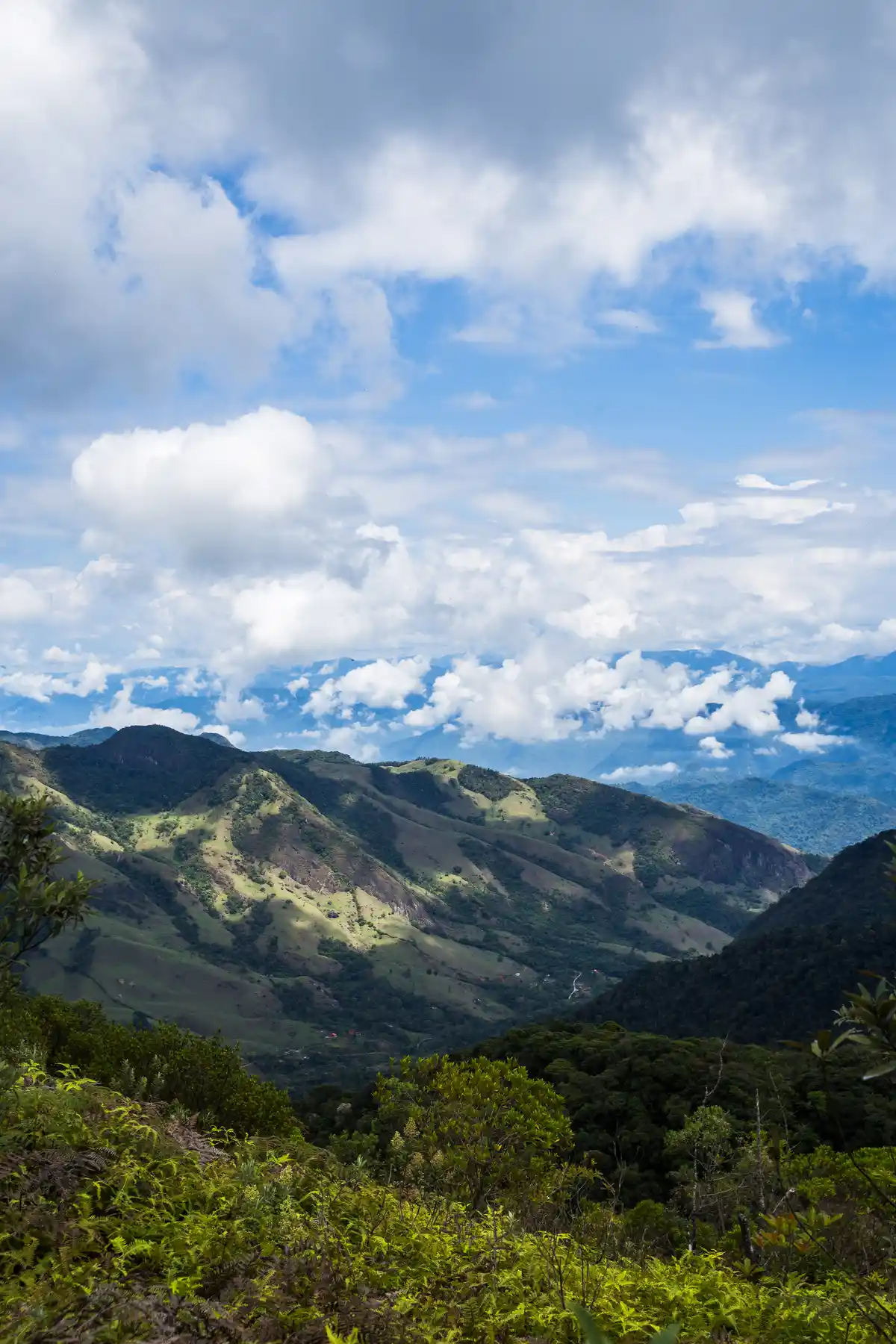 Trilha da Pedra Chata