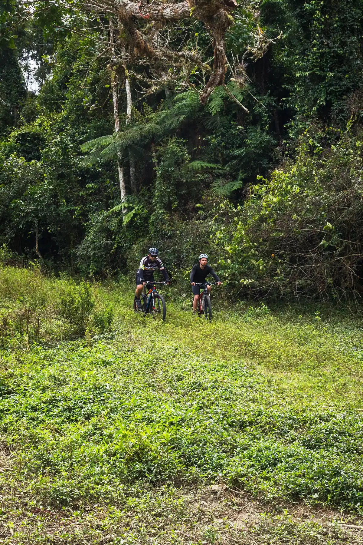 Ciclotrilha de São João Marcos
