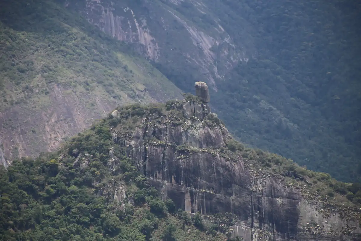 Cabeça de Dragão