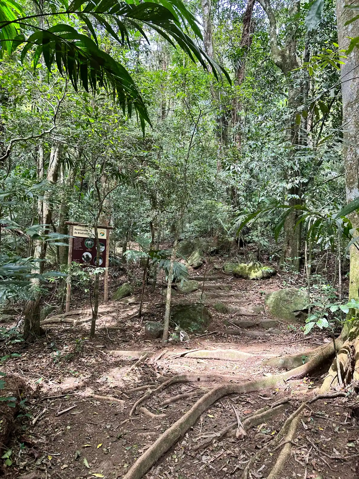Trilha do Jequitibá