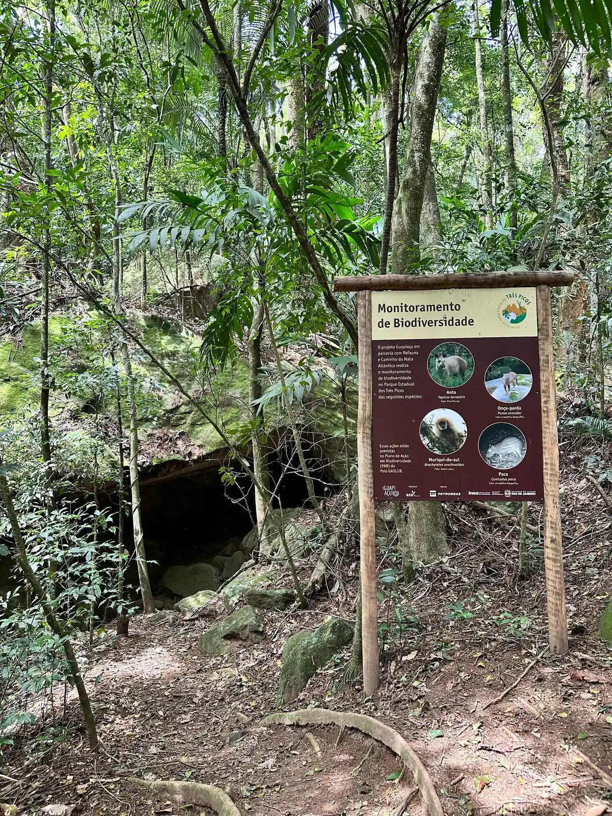 Trilha do Jequitibá