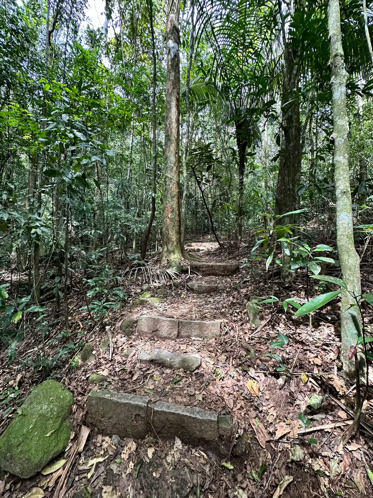 Trilha do Jequitibá