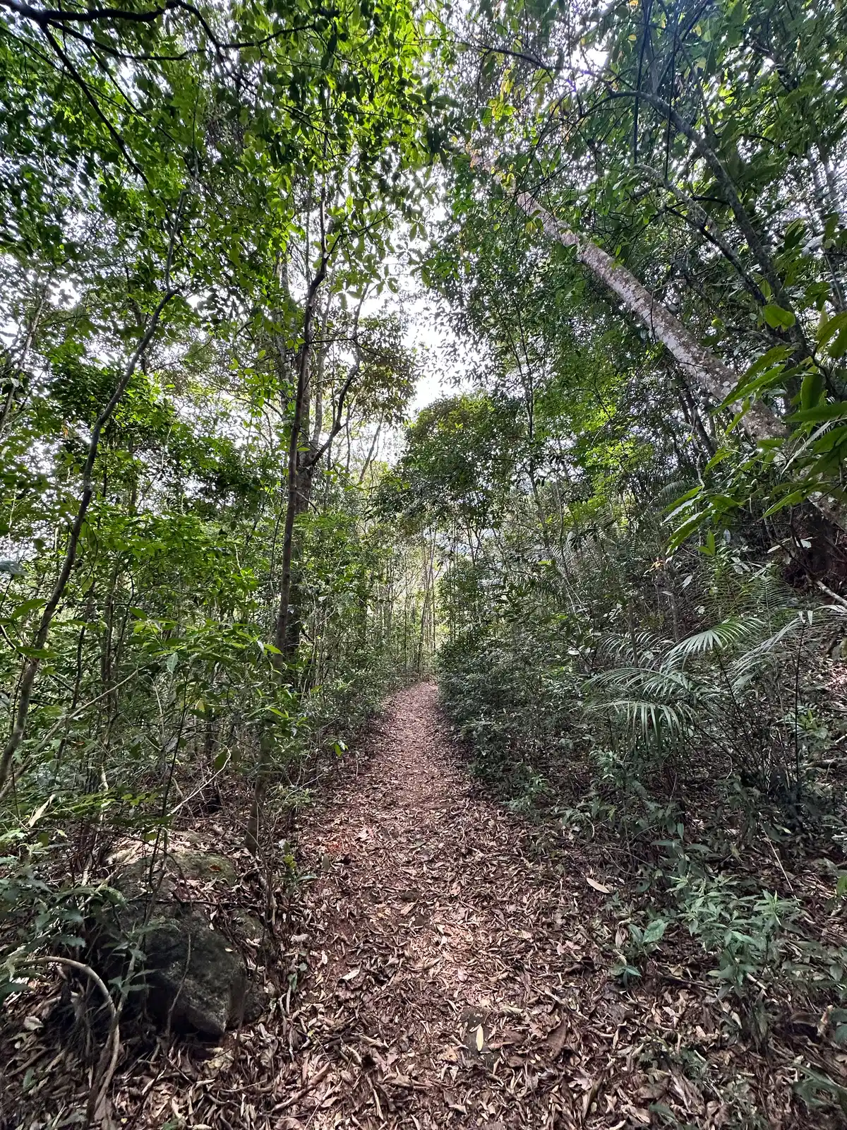 Trilha do Mirante