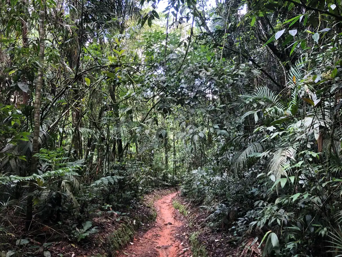 Travessia Jacarandá X Prata dos Aredes