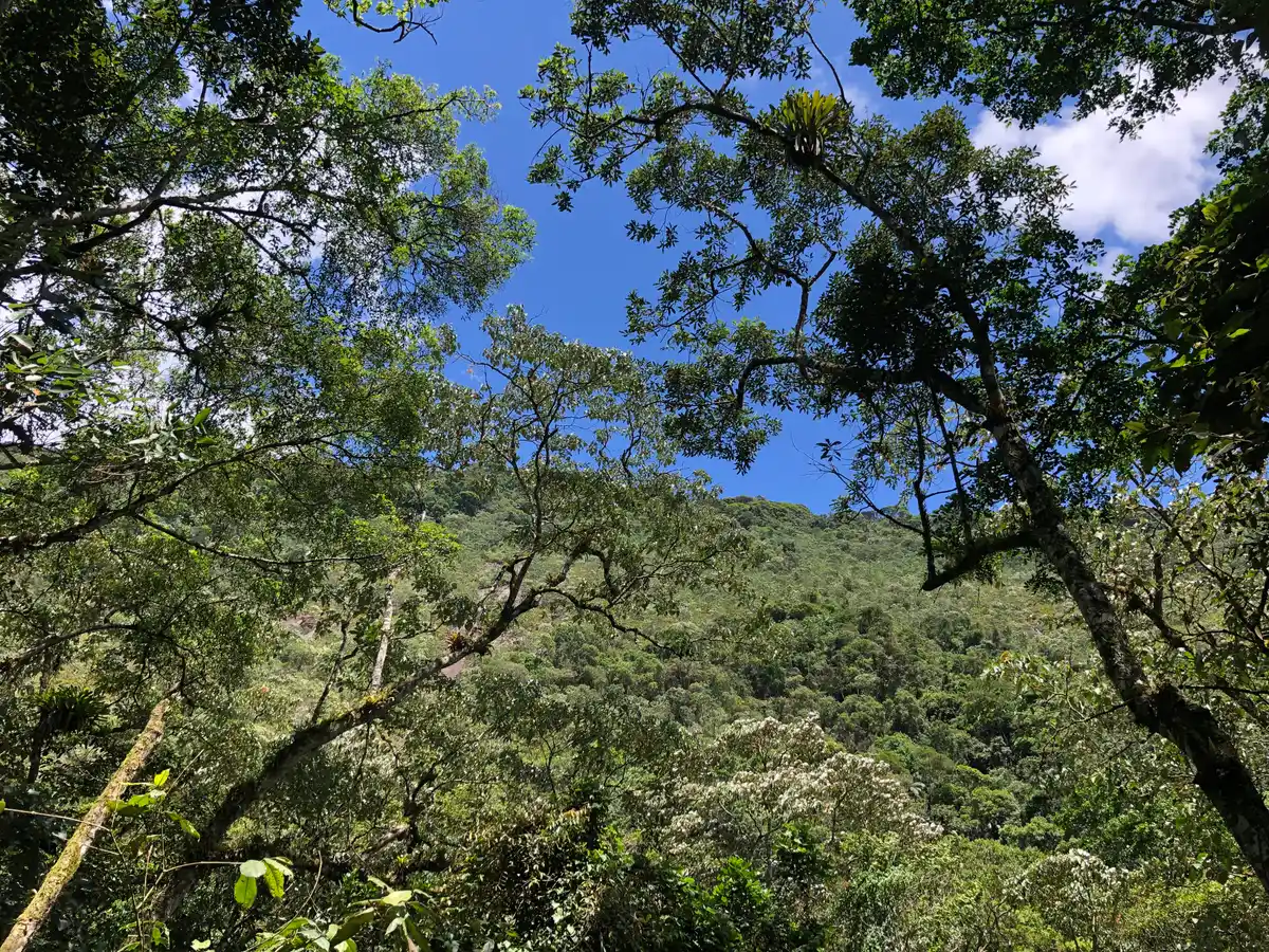 Travessia Jacarandá X Prata dos Aredes