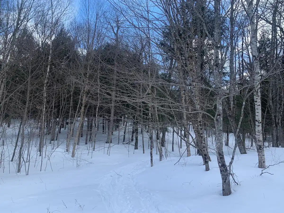 One Mile