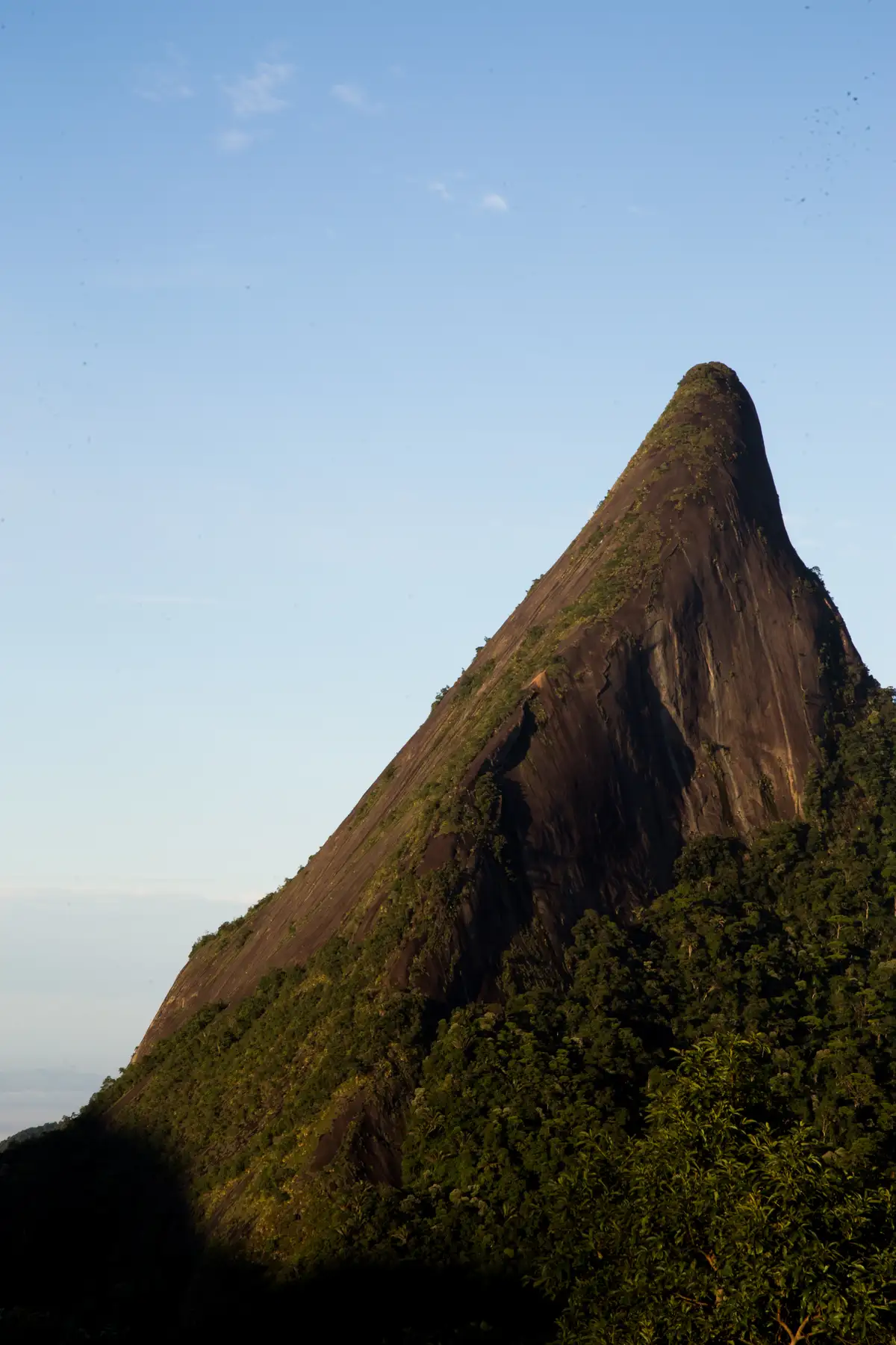 Escalavrado