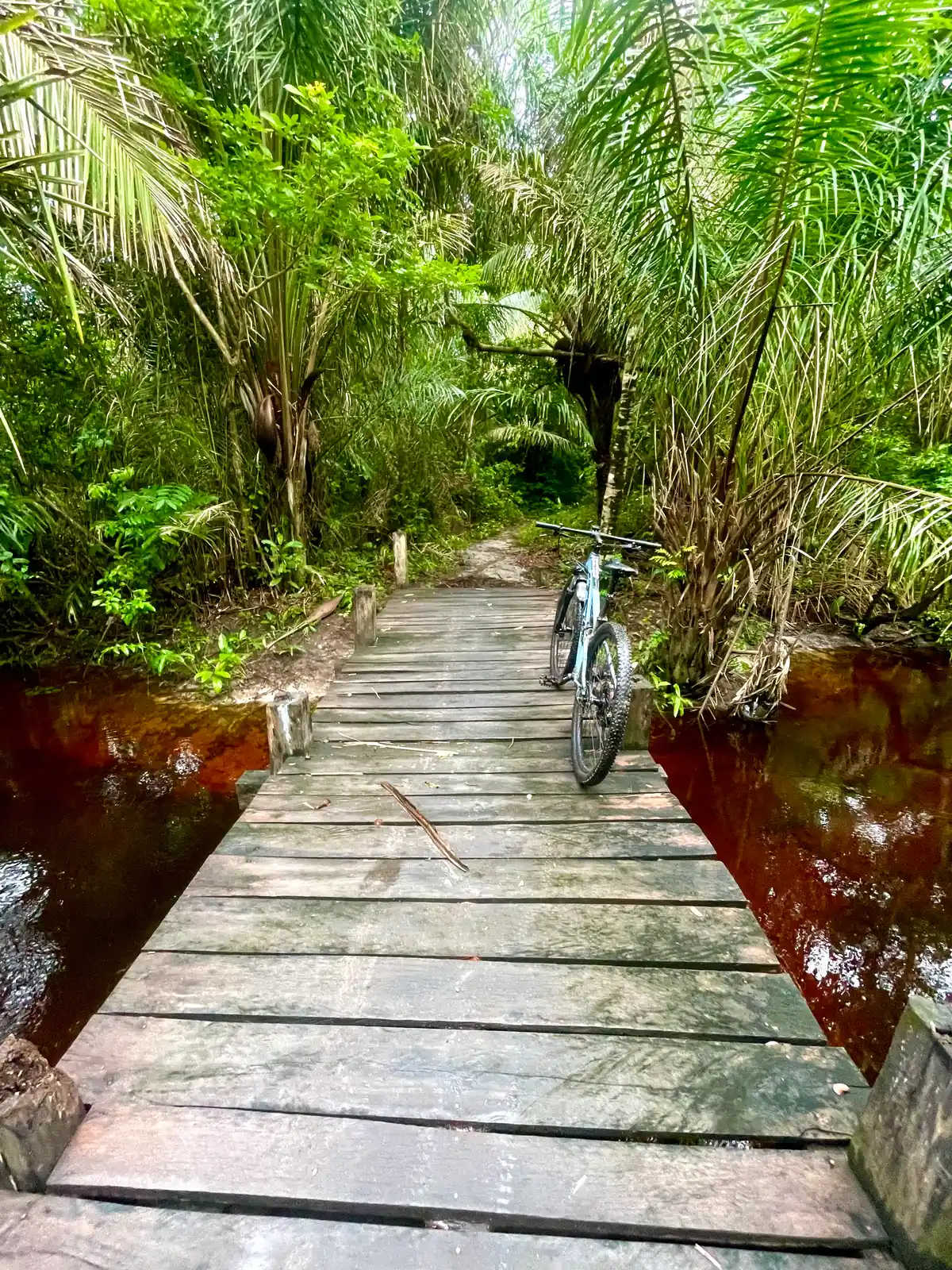 Amazônia Maranhense (Trecho 8 da Trilha Amazônia Atlântica)