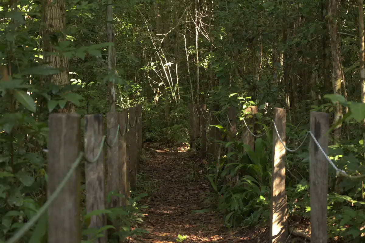 Trilha Ibirapitanga