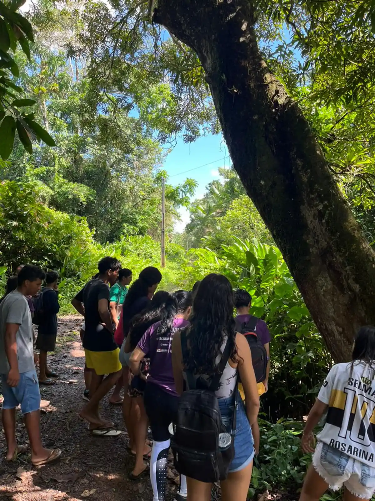 Trilha Ecológica "Caminhos de Bujaru"