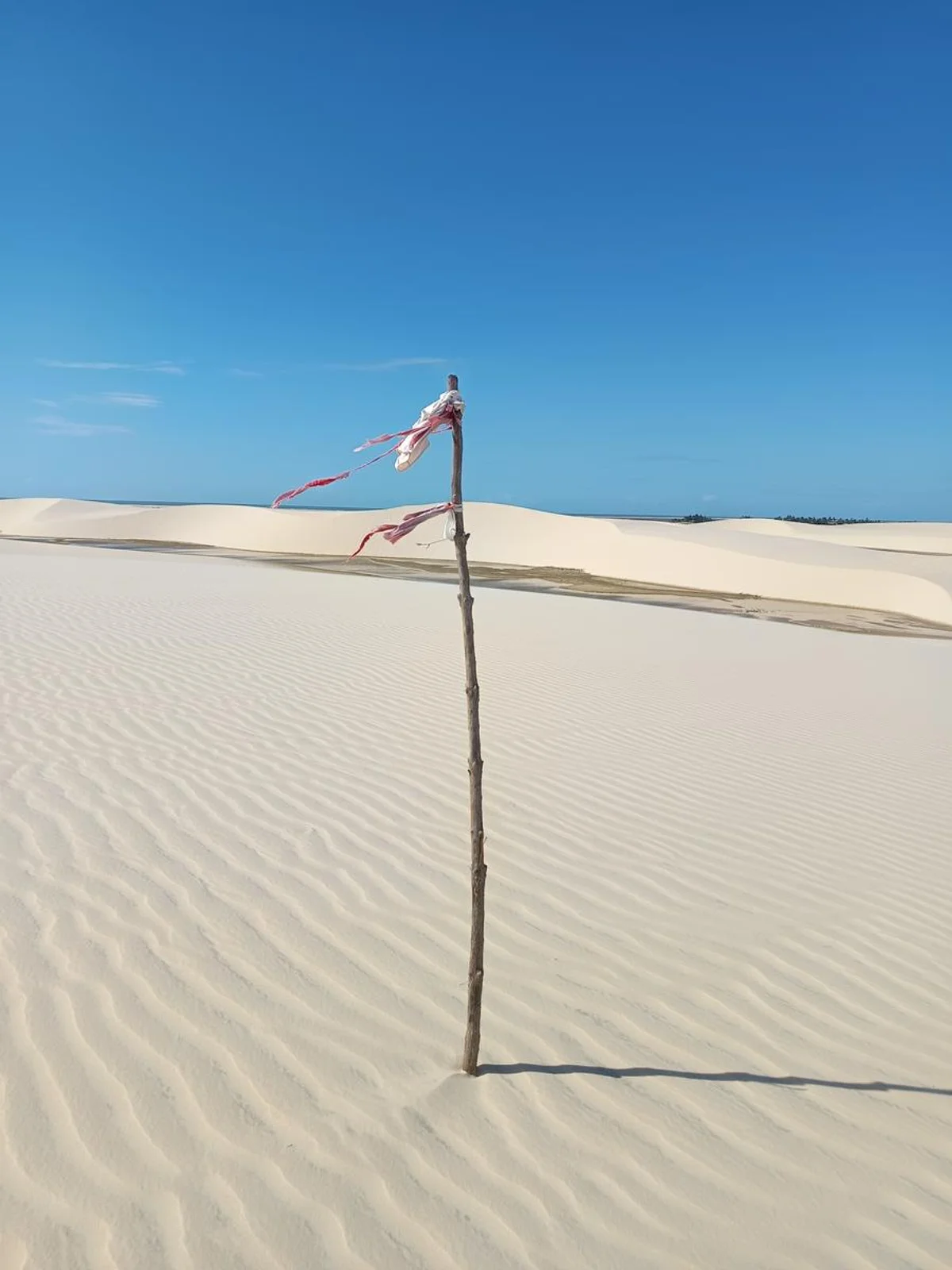 Travessia dos Lençóis Maranhenses com Barra da Baleia