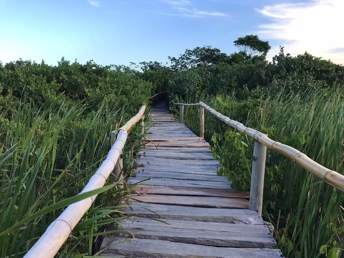 Trilha do Tamandaré