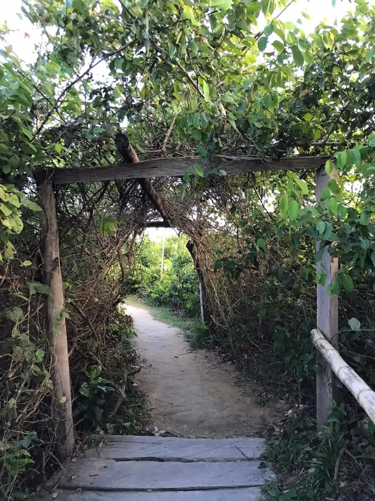 Trilha do Tamandaré