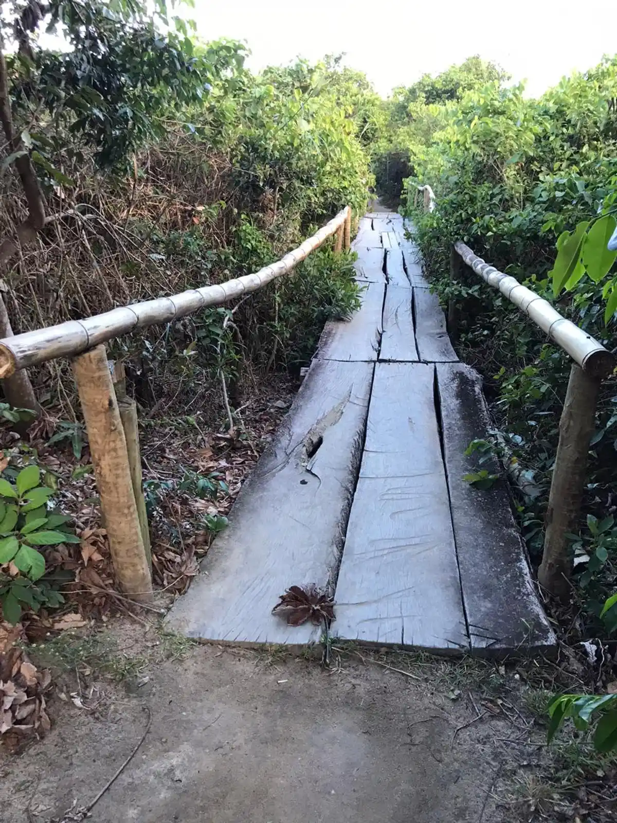 Trilha do Tamandaré