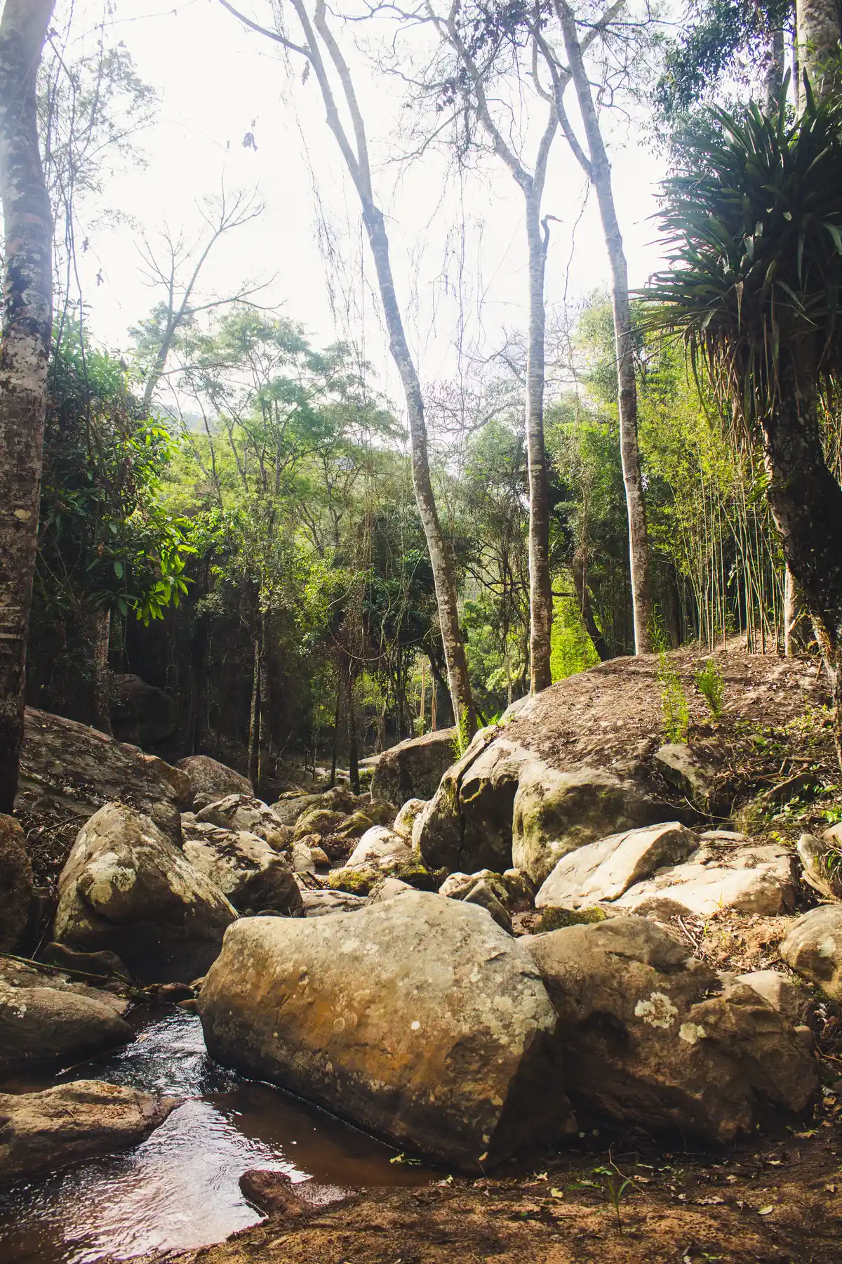 Trilha Pedra da Meditação