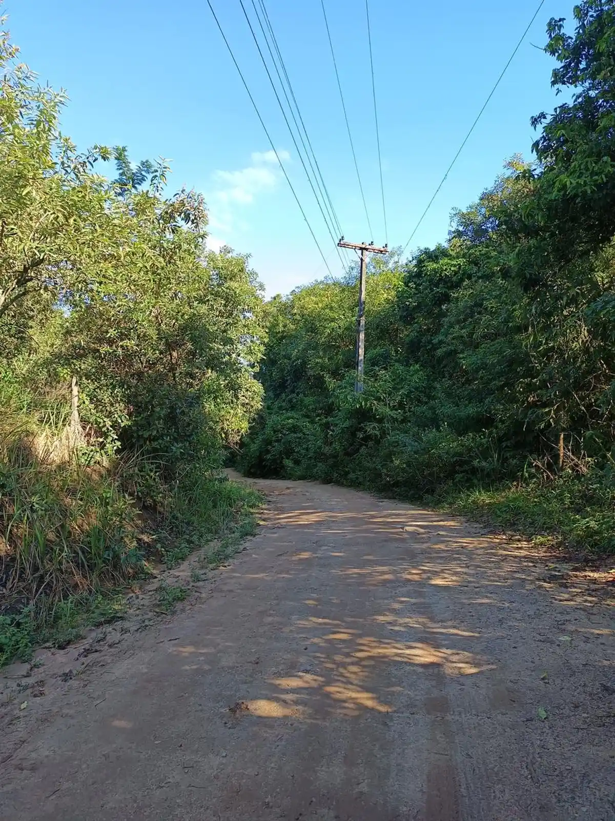 Trilha da Pedra do Colégio