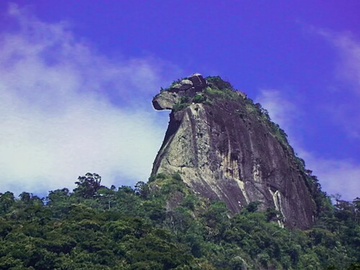 Trilha Pico do Papagaio
