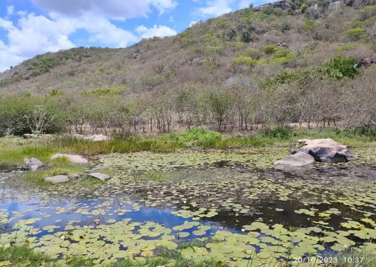 Trecho 2- Caminhos das Ararunas - Umburana x Mirante do Rio Curimataú.