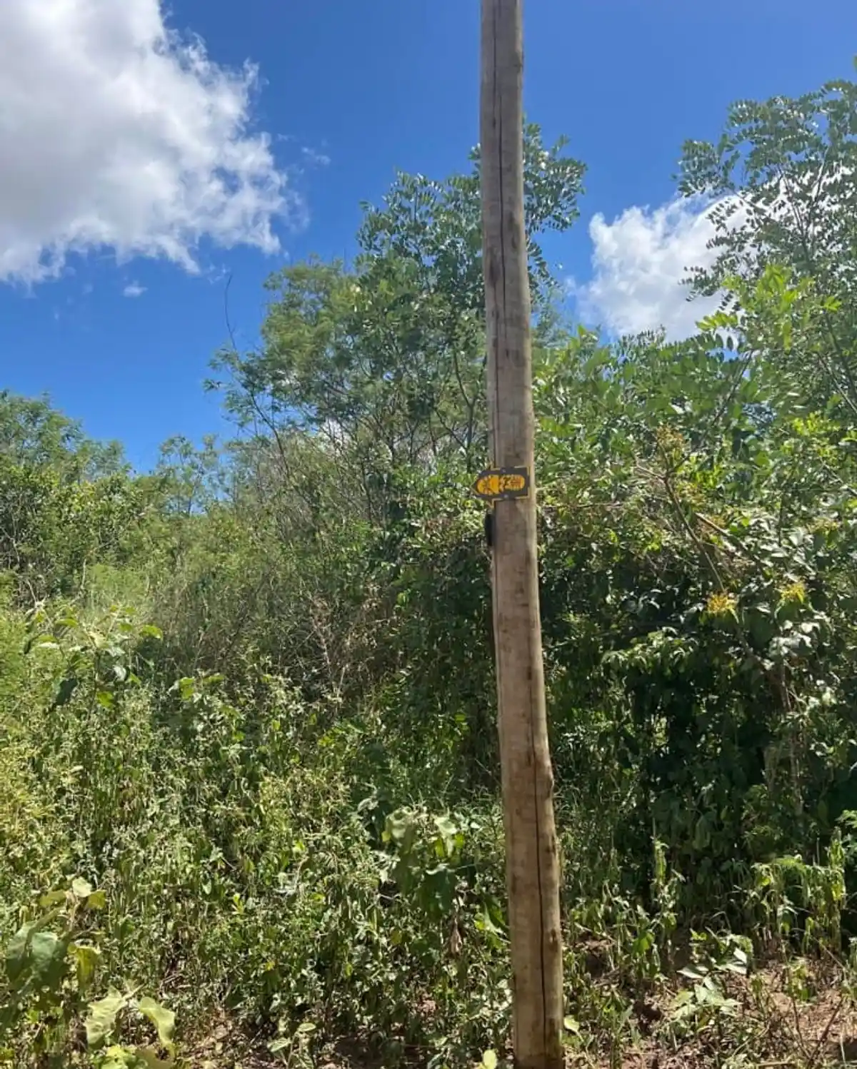 Trecho 4 - Caminhos das Ararunas - Bar da Mata do Seró x Comunidade Quilombola Cruz da Menina 