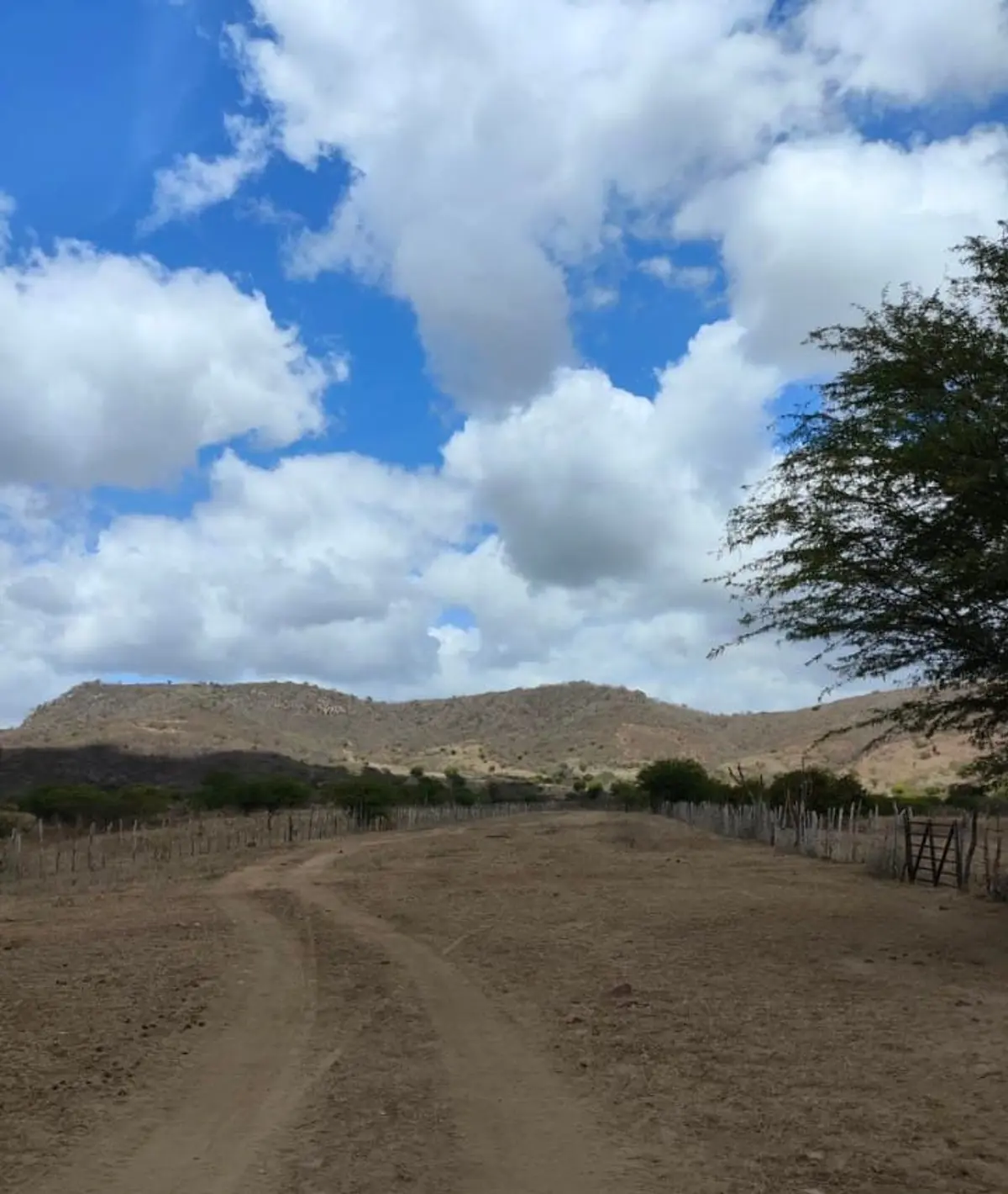 Trecho 5 - Caminhos das Ararunas - Comunidade Quilombola Cruz Menina x Mirante Vale da Serra