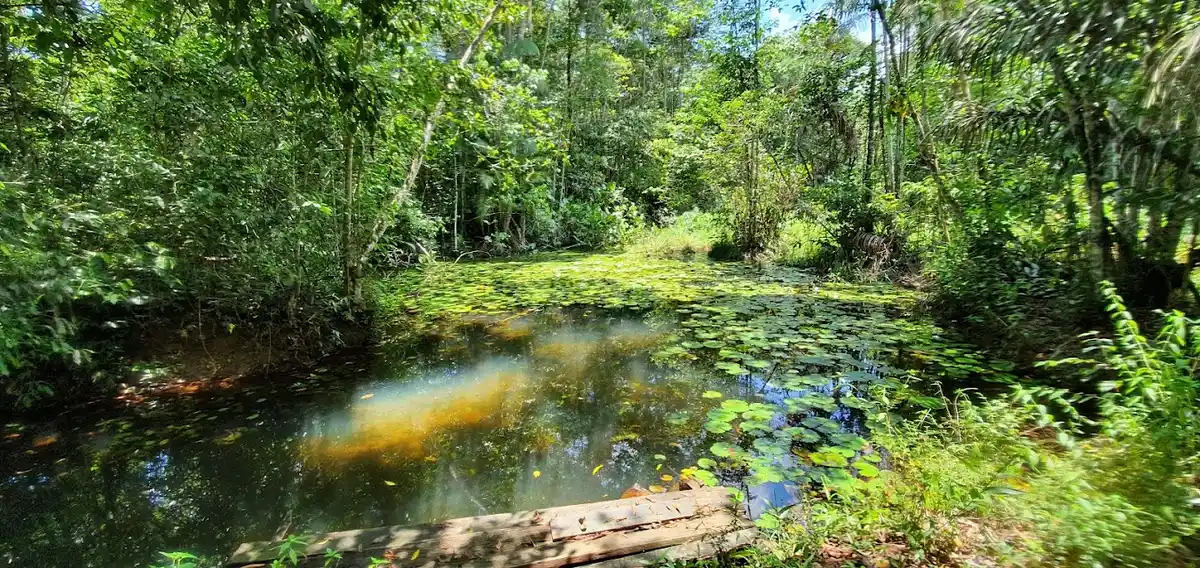 Belém x Caraparu (Trecho 1 | Trilha Amazônia Atlântica)