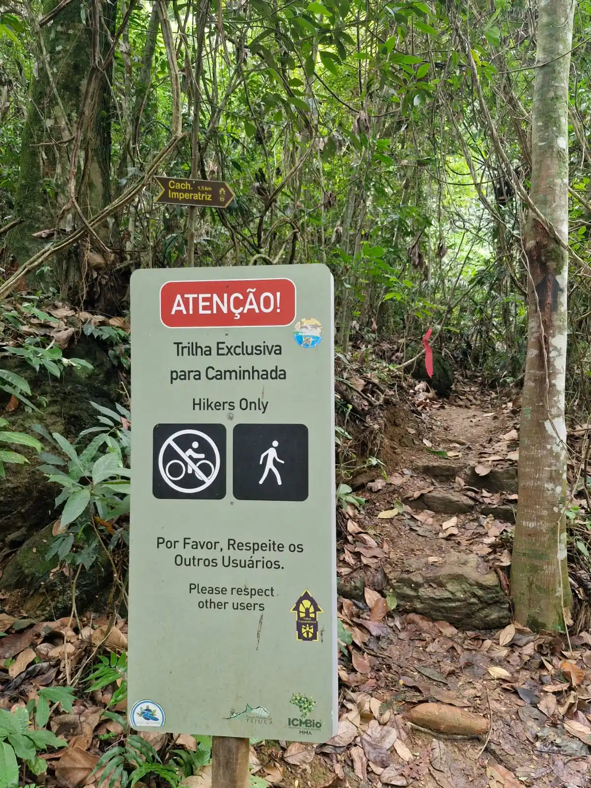 Trecho 16 - Vista Chinesa x Dona Castorina